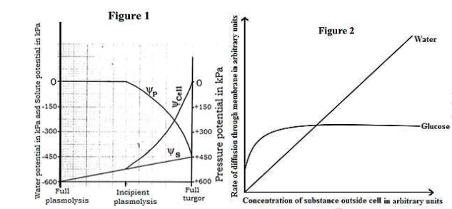 A graph showing the relationship between percentage plasmolysis with sucrose concentration